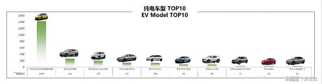 新能源市场：多国销量口碑双丰收k8凯发马竞赞助比亚迪领跑美洲(图2)