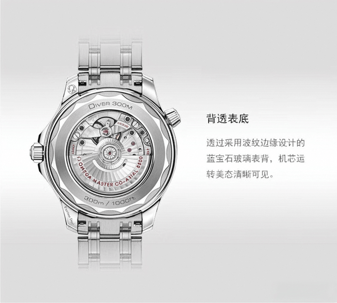 前十名及其独特魅力瑞士手表品牌排行榜(图7)